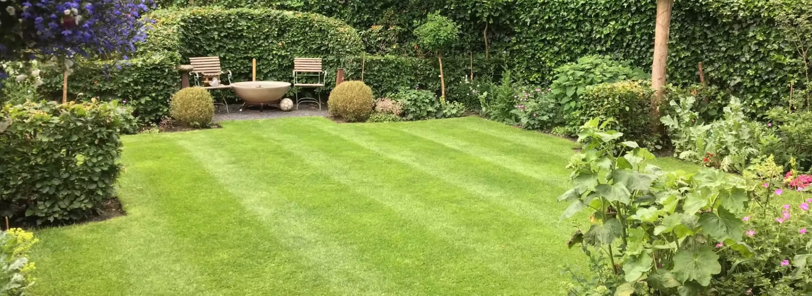 Backyard lawn with striped mowing pattern, bordered by dense shrubs and greenery, with a wooden seating area.