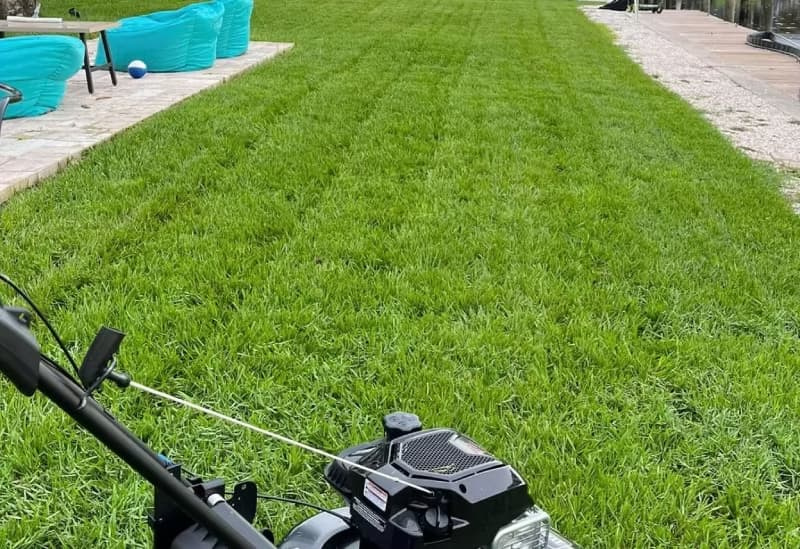 Rotary mower cutting a bahiagrass lawn near a waterfront dock and patio area.