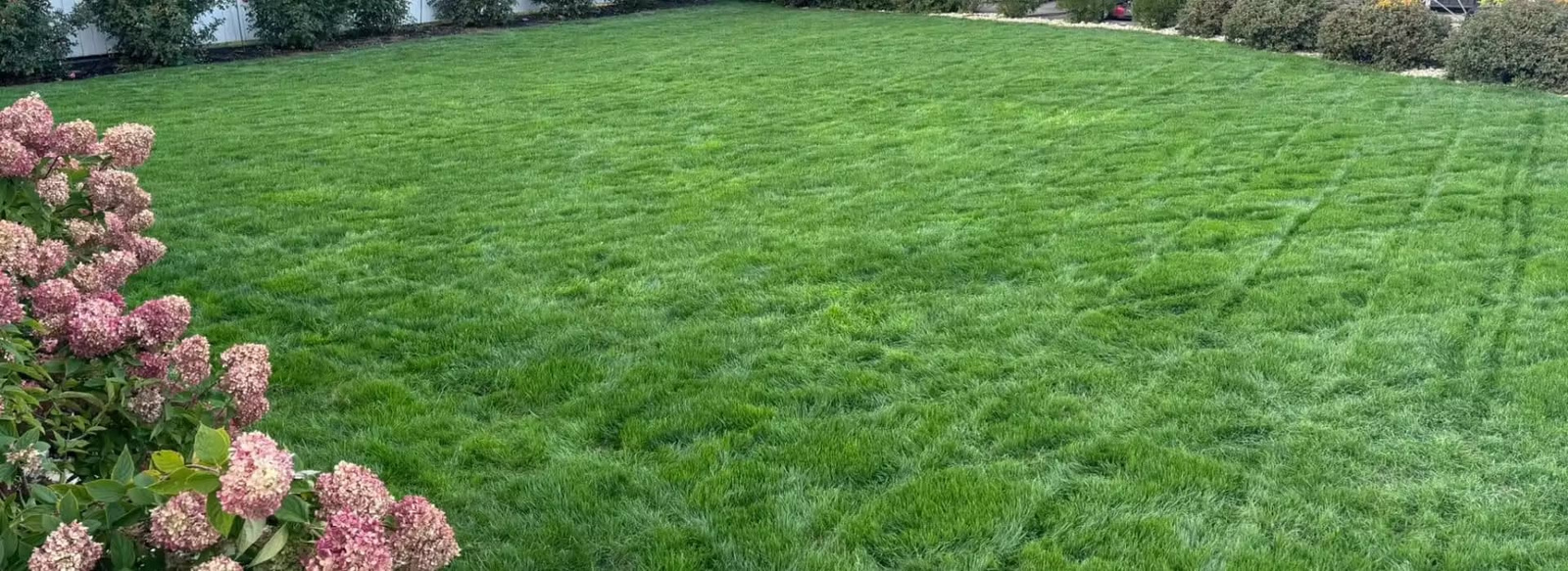 banner-about Lush green lawn with flowers on the left hand side.