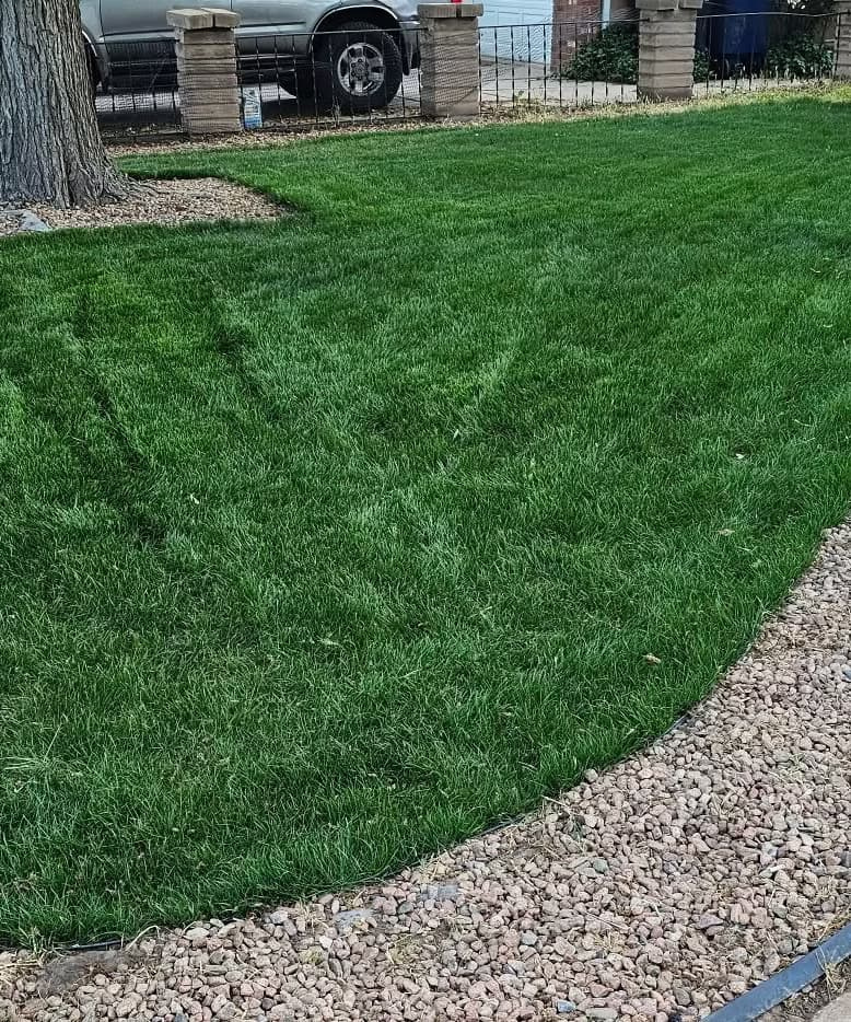 Curved Bermudagrass turf section surrounded by gravel edging and decorative brick pillars