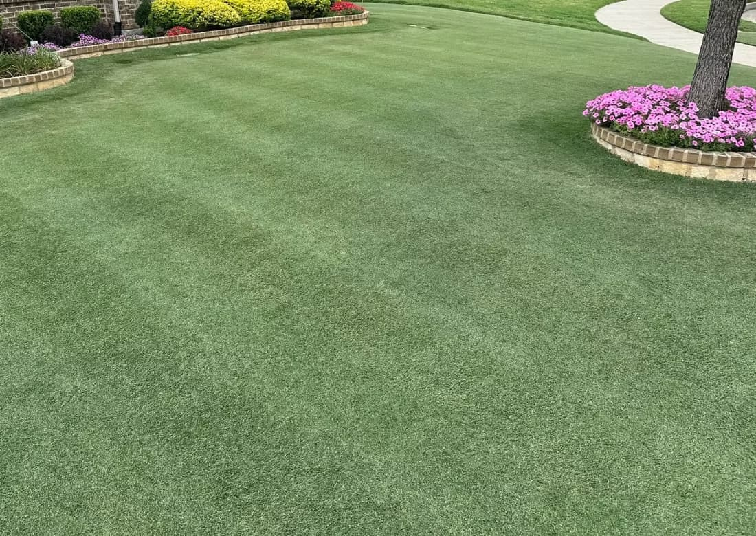 Manicured green Bermudagrass lawn with mowing stripes and landscaped flower beds
