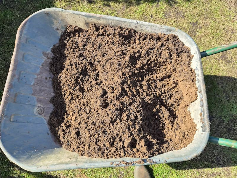 dark-crumbly-compost-wheelbarrow-topdressing Overhead view of dark crumbly compost in a wheelbarrow ready for lawn and bed topdressing