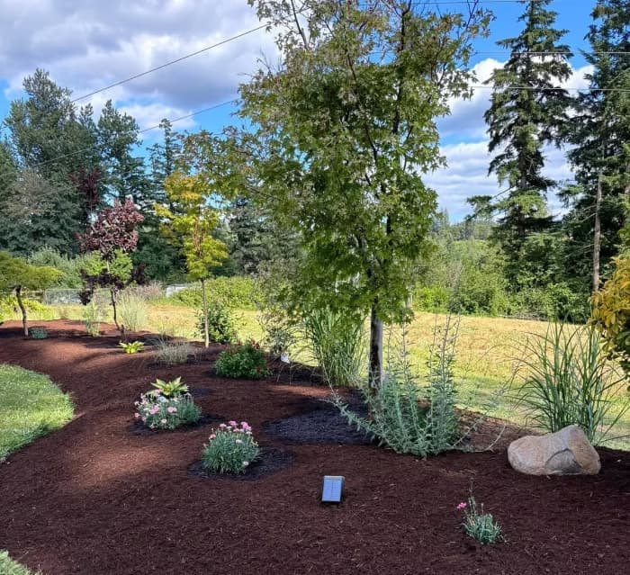 An organized mix of flowering perennials and evergreen shrubs in a well-maintained home landscape.