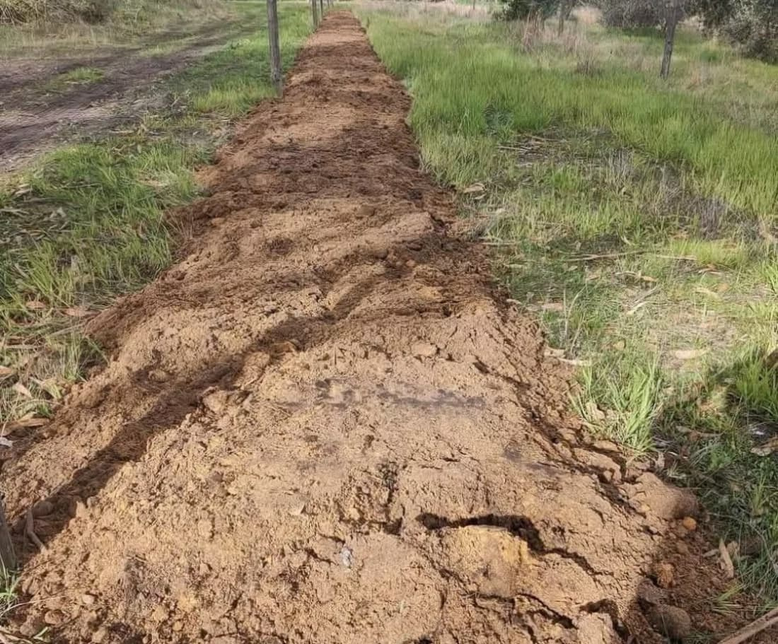 Long mound of freshly turned soil along a field boundary line