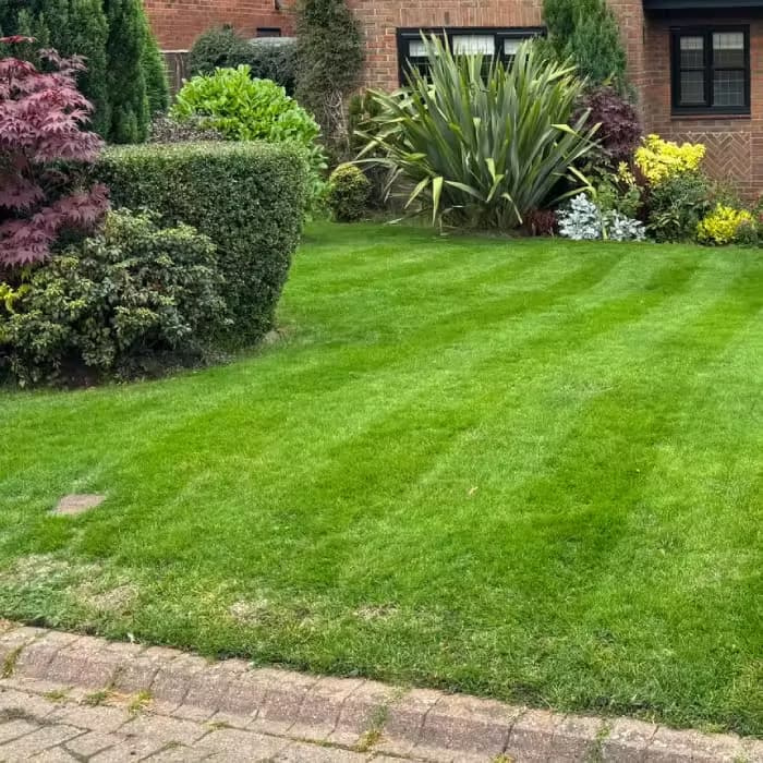 Front yard with a well-maintained lawn and ornamental plants.