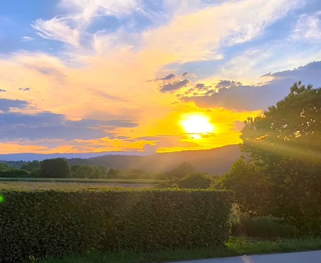 Bright sun setting over a hedge line and open field displaying intense full-sun exposure