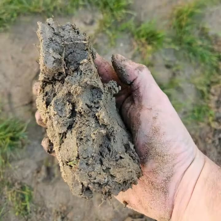 Man’s hand holding a clump of clay soil.