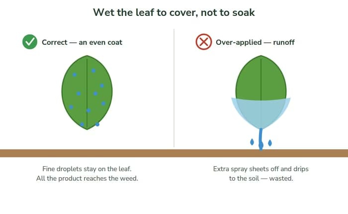 Diagram comparing correct herbicide leaf coverage, with fine droplets held on the leaf, to over-application, where spray runs off the leaf tip and is lost to the soil.