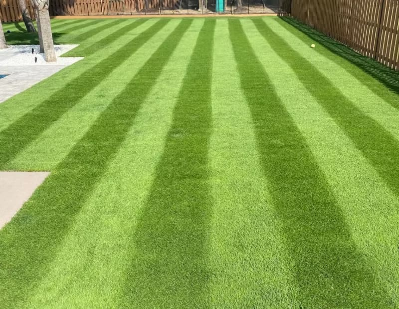 Striped Innovation zoysiagrass lawn along a wooden fence.