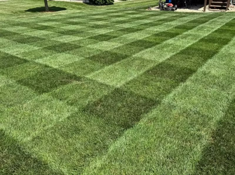 Double-pass checkered mower striping pattern on a dark green Kentucky bluegrass lawn.