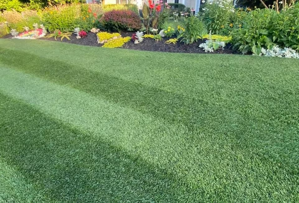 Healthy dark green Kentucky bluegrass lawn neatly manicured along a flowerbed landscape border.
