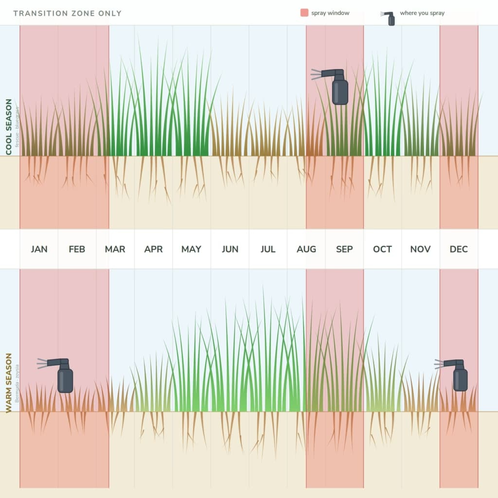 Transition-zone calendar showing cool- and warm-season lawn growth across the year, with two red spray windows (late Aug–Sep and Dec–early March) that each fall when the neighboring lawn is green and vulnerable to drift.