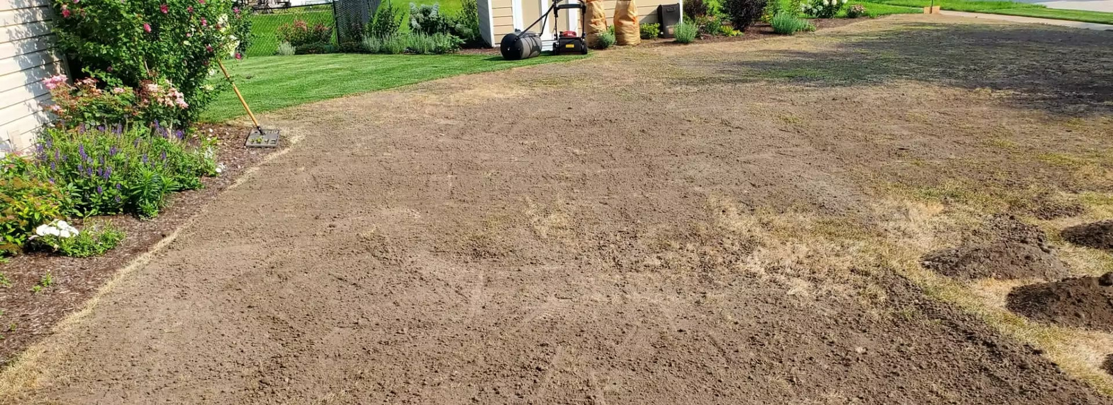 Backyard lawn area with freshly prepared soil for renovation, ready for seeding or turf installation.