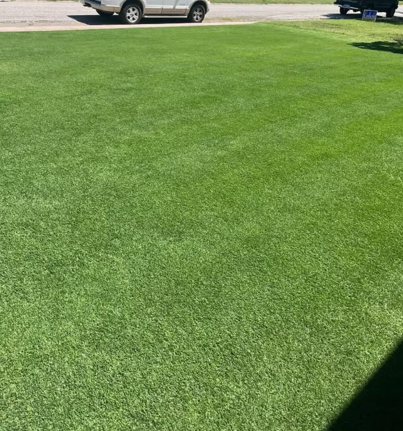Established Monaco Bermudagrass lawn in front of a residential driveway