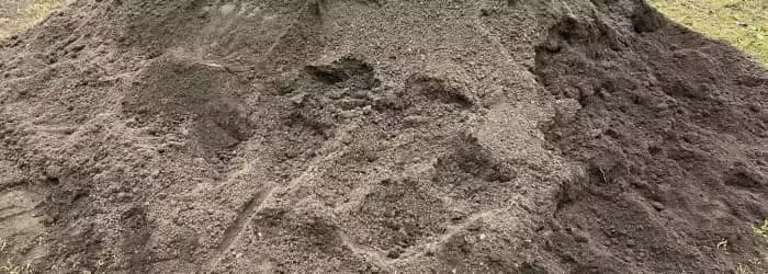 A pile of soil.