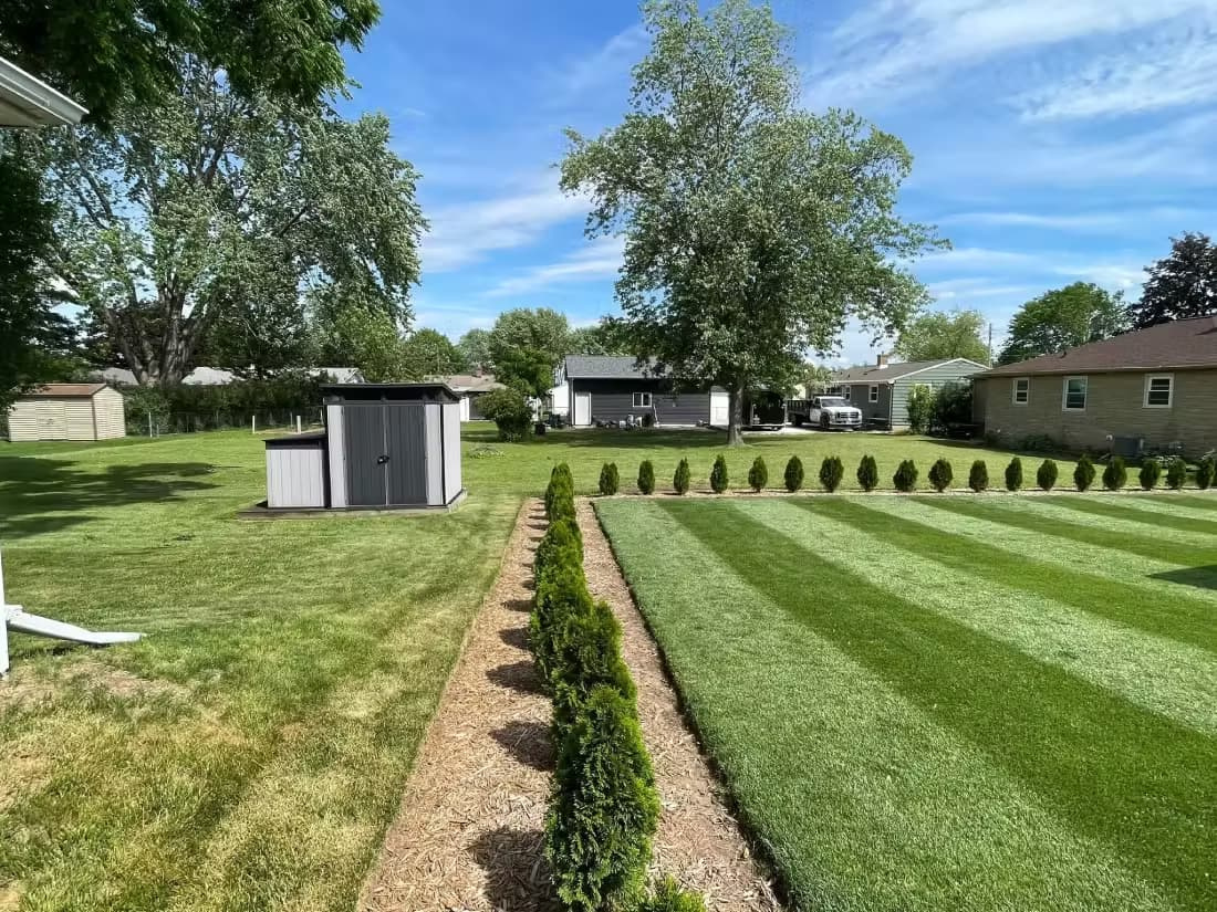 A crisp property line boundary showing a dark green, perfectly striped lawn on the right side next to a lighter, different grass type on the left side.