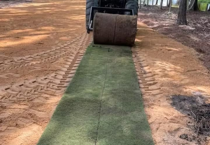 Rolling out big roll Diamond zoysiagrass sod on prepared soil.