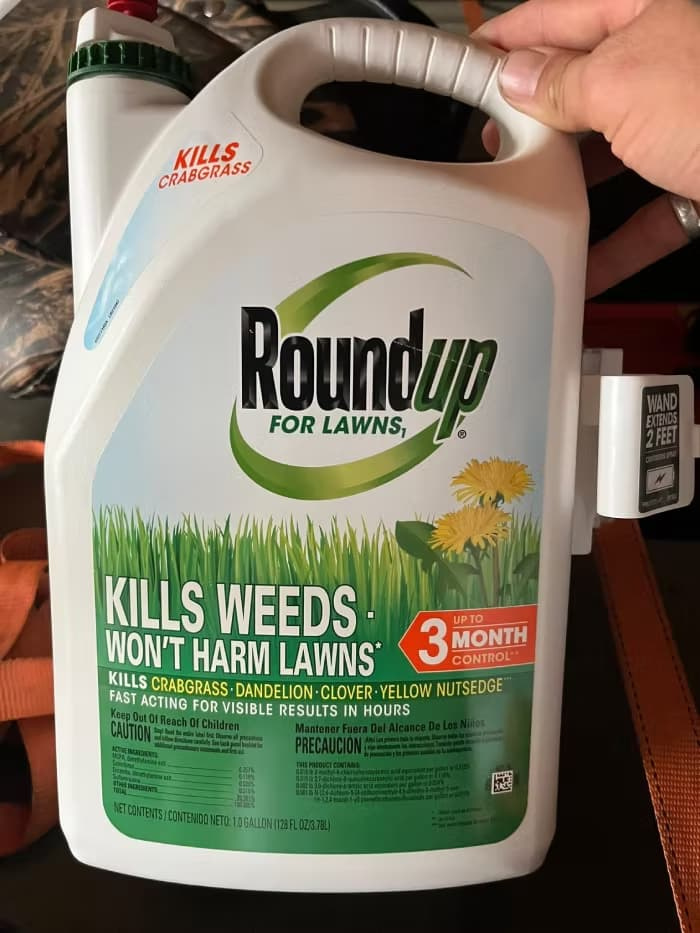 One-gallon jug of Roundup For Lawns; the active-ingredient panel lists MCPA, quinclorac, dicamba, and sulfentrazone — no glyphosate.