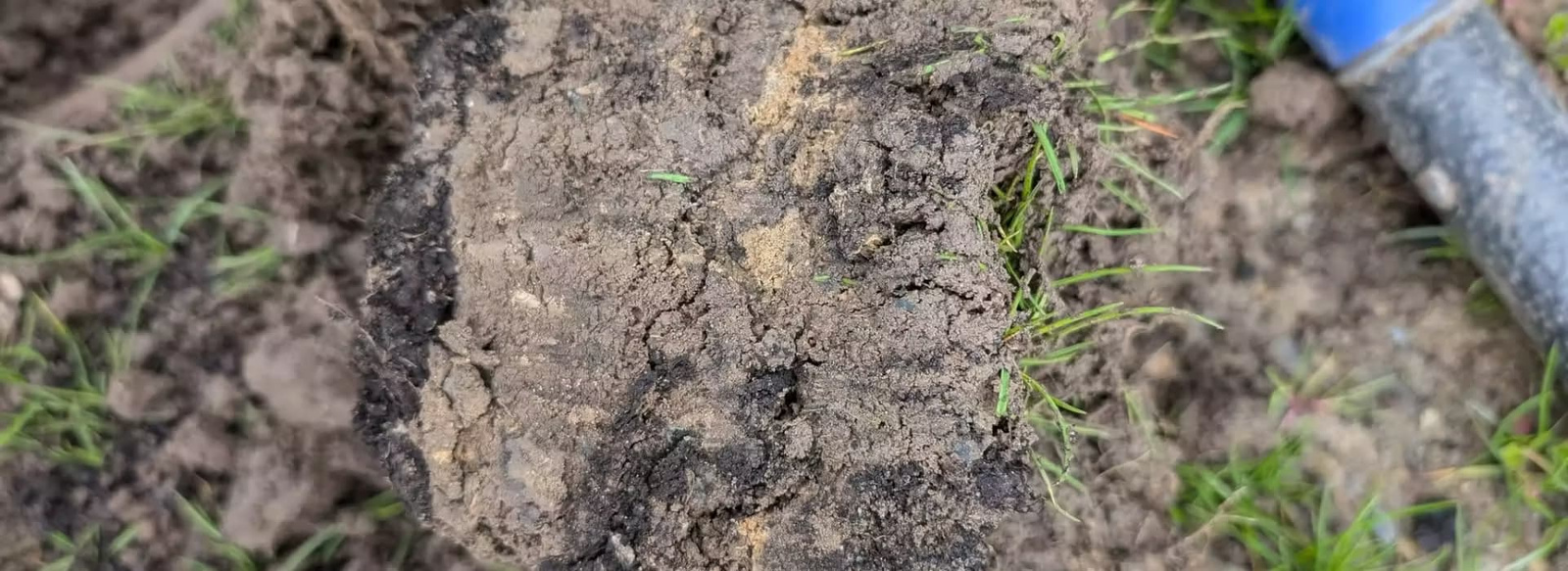 soil-close-up Close-up of freshly dug soil.