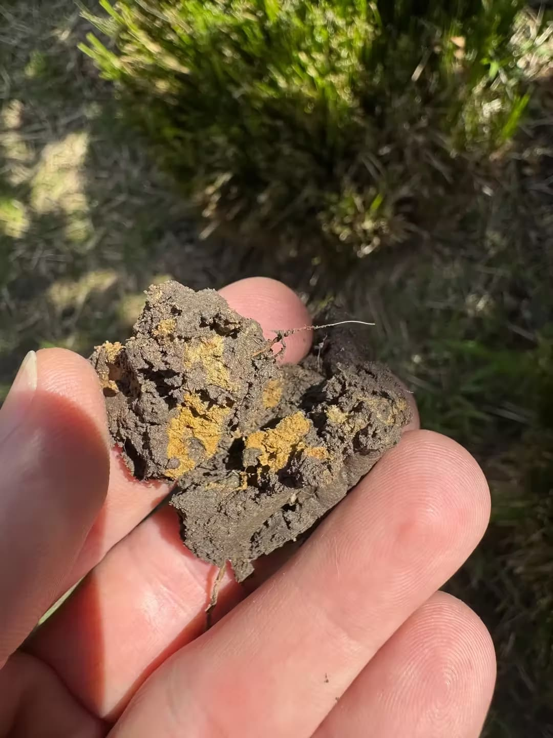 soil-in-hand Close up of man's hand holding soil