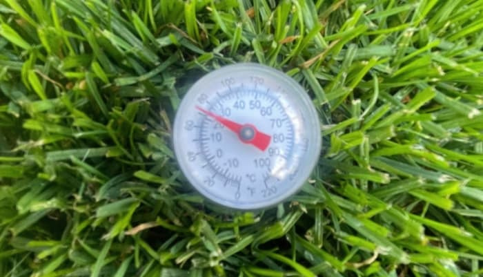 A round dial thermometer measuring temperature nestled in lush green lawn grass.