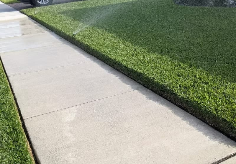 Crisp St. Augustinegrass turf edge along a sidewalk receiving spray irrigation.