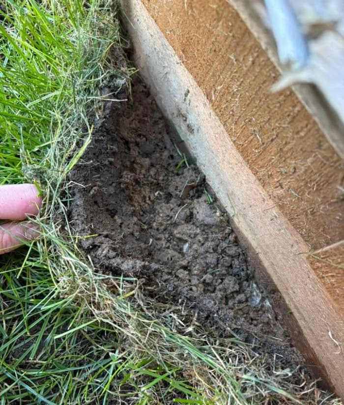 A close-up of a hand peeling a section of green turf grass upward away from a wooden border, exposing the loose, bare soil underneath.