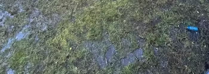 Waterlogged garden