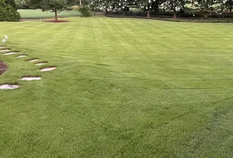 Sweeping zoysiagrass lawn with stepping stone pathway and tree landscape beds.