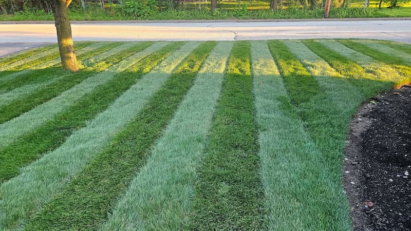 aerial-view-mower-stripes-on-lawn Aerial view of a lawn showing light and dark mower striping patterns.