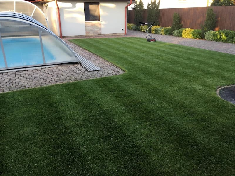 backyard-lawn-and-pool-with-mower-stripes Wide view of a striped backyard lawn beside a covered pool, with a push mower parked mid-yard.