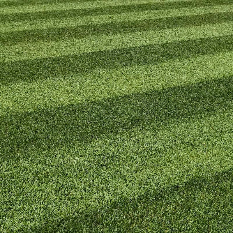 Close-up of a healthy lawn with alternating light and dark mower stripes