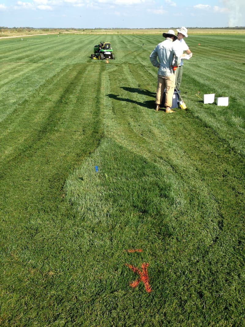 Researchers collecting turf cut-quality data in a test plot