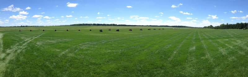 Wide view of a turfgrass mower testing plot