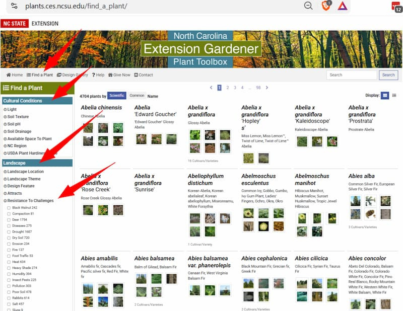 Screenshot of NC State Extension's Find a Plant tool highlighting the Cultural Conditions and Resistance to Challenges filters used to find low-maintenance plants