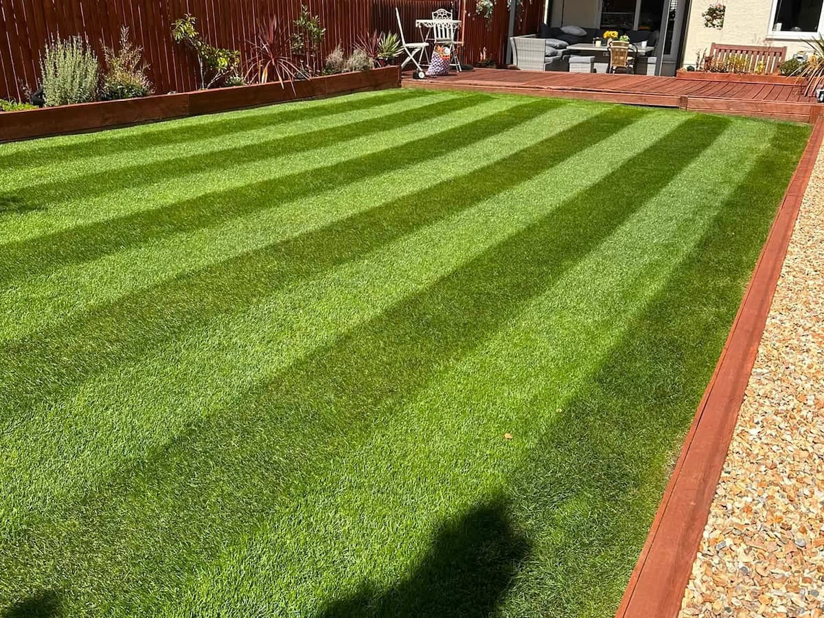 Perfectly striped green lawn in a backyard landscape, showcasing healthy turfgrass results.